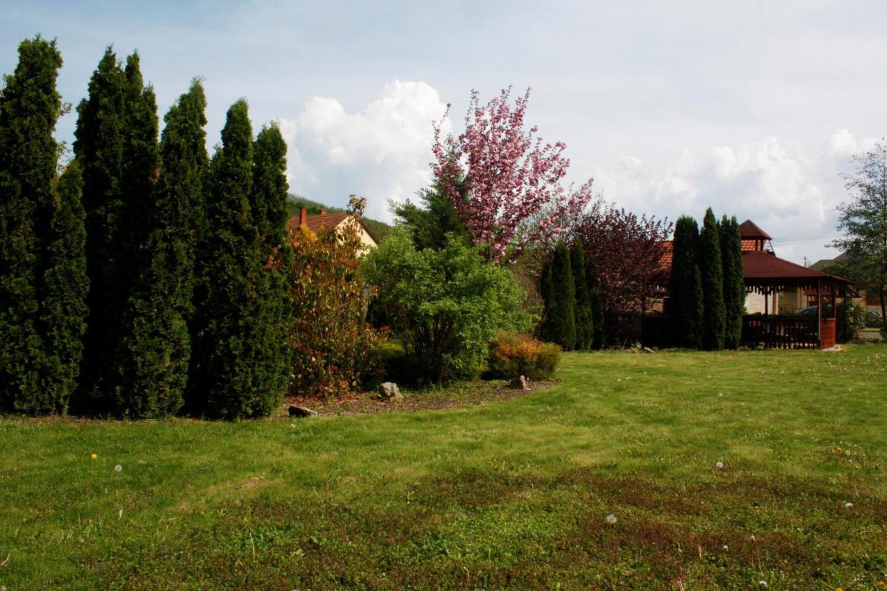 Ani Vendeghaz Egerszalok Appartement Buitenkant foto